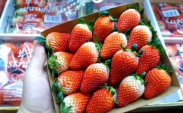 Top 10 Cửa hàng trái cây sạch và an toàn tại quận Đống Đa, Hà Nội