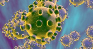 Top 10 Quốc gia có số lượng nhiễm virus corona nhiều nhất thế giới