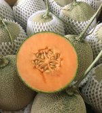 Top 4 Cửa hàng trái cây sạch và an toàn tại Hà Tĩnh