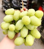 Top 5 Cửa hàng trái cây sạch và an toàn tại Bắc Ninh