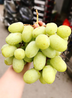 Top 5 Cửa hàng trái cây sạch và an toàn tại Bắc Ninh