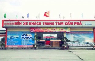 Top 5 Hãng xe uy tín đi về trong ngày chuyên tuyến Cẩm Phả – Hà Nội