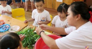 Top 5 Trường mầm non quốc tế, mầm non song ngữ tốt nhất tại Thái Bình