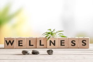 Wellness – Xu Hướng Được Cộng Đồng Làm Đẹp Ưa Chuộng 7